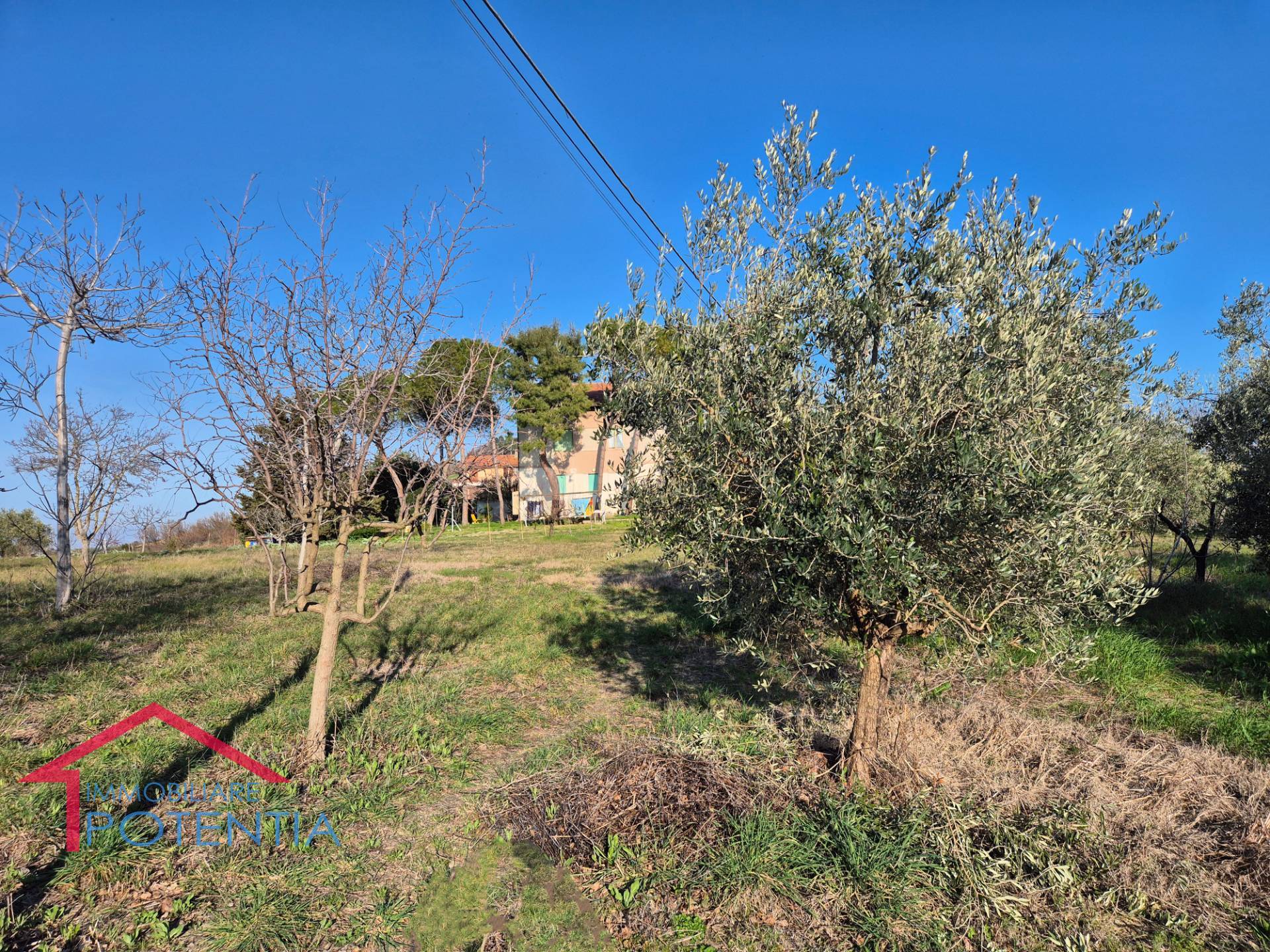 Terreno Agricolo a Potenza Picena