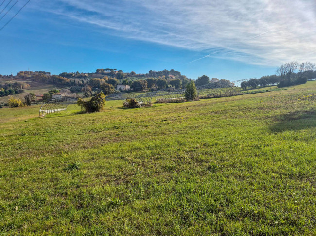 Terreno Agricolo a Potenza Picena