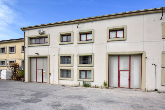 Capannone a Potenza Picena