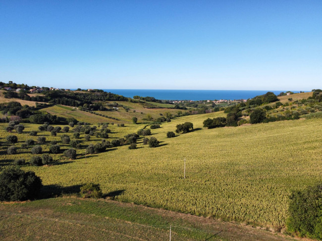 Terreno Agricolo a Potenza Picena
