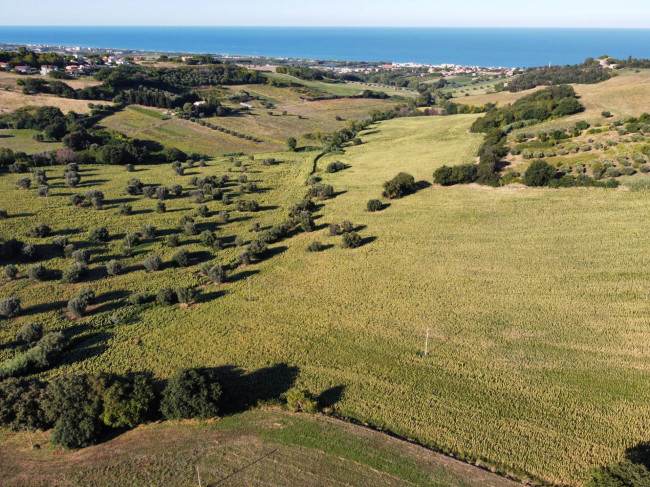 Terreno Agricolo a Potenza Picena