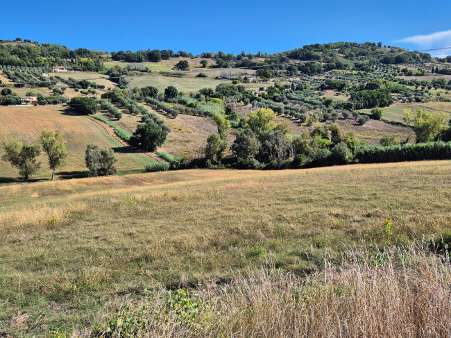 Terreno Agricolo a Potenza Picena