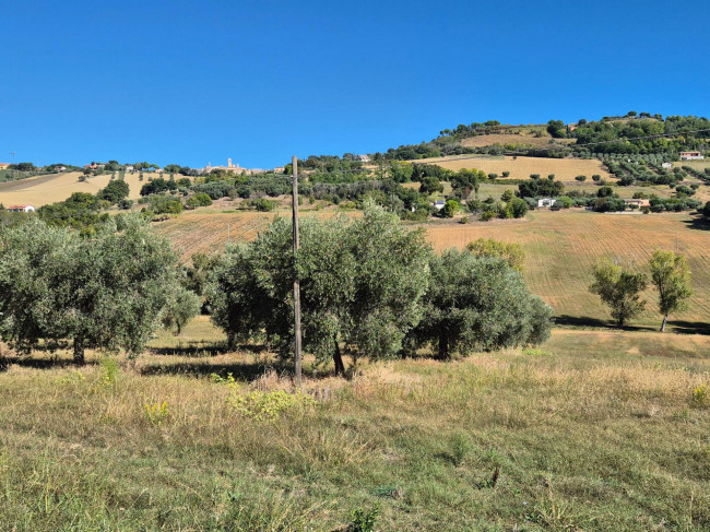 Terreno Agricolo a Potenza Picena