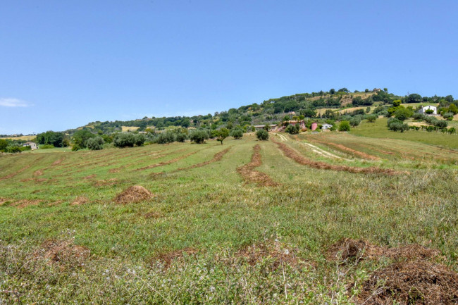 Terreno Agricolo a Potenza Picena