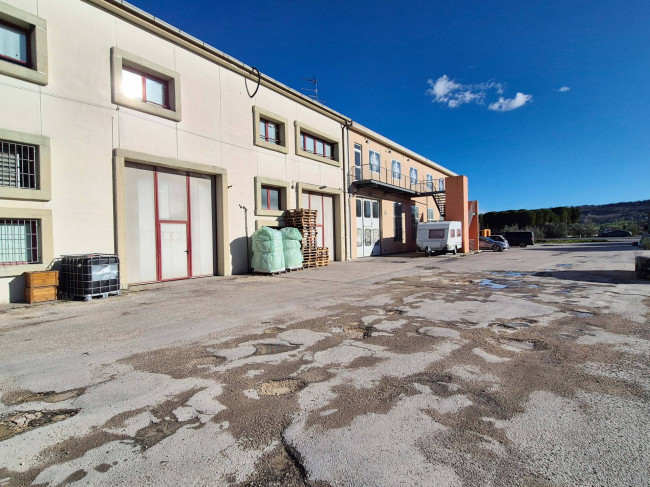 Capannone a Potenza Picena