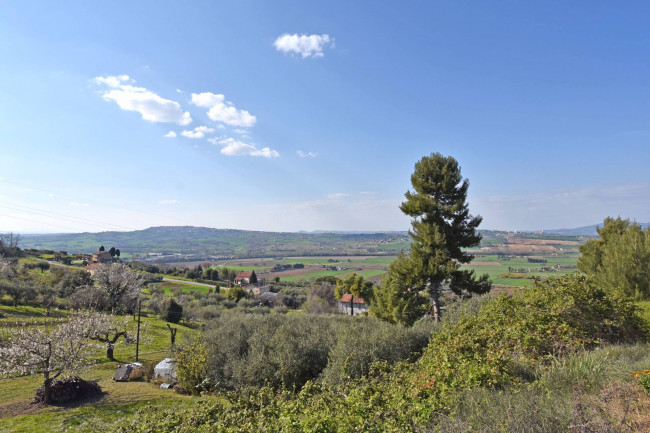 Terreno edificabile a Potenza Picena