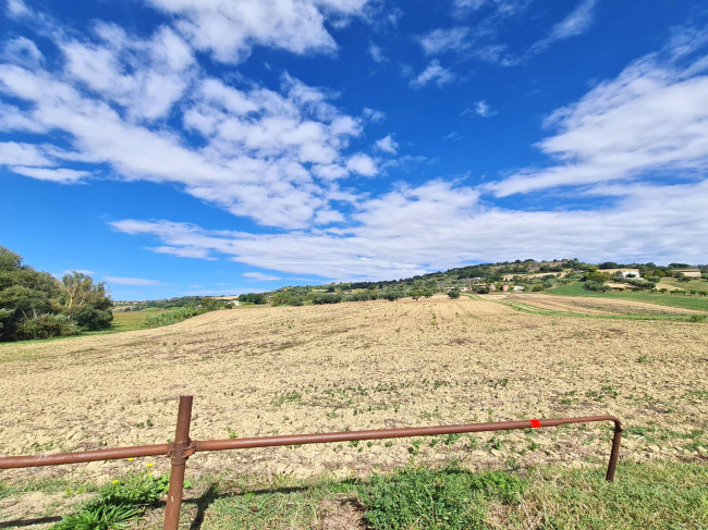 Terreno Agricolo a Potenza Picena