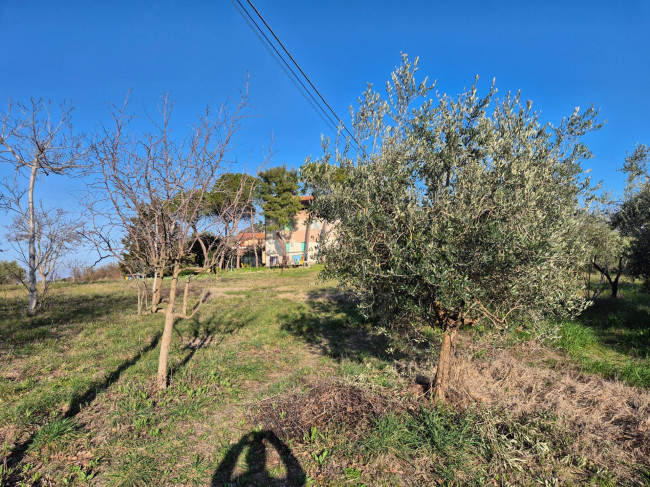 Terreno Agricolo a Potenza Picena