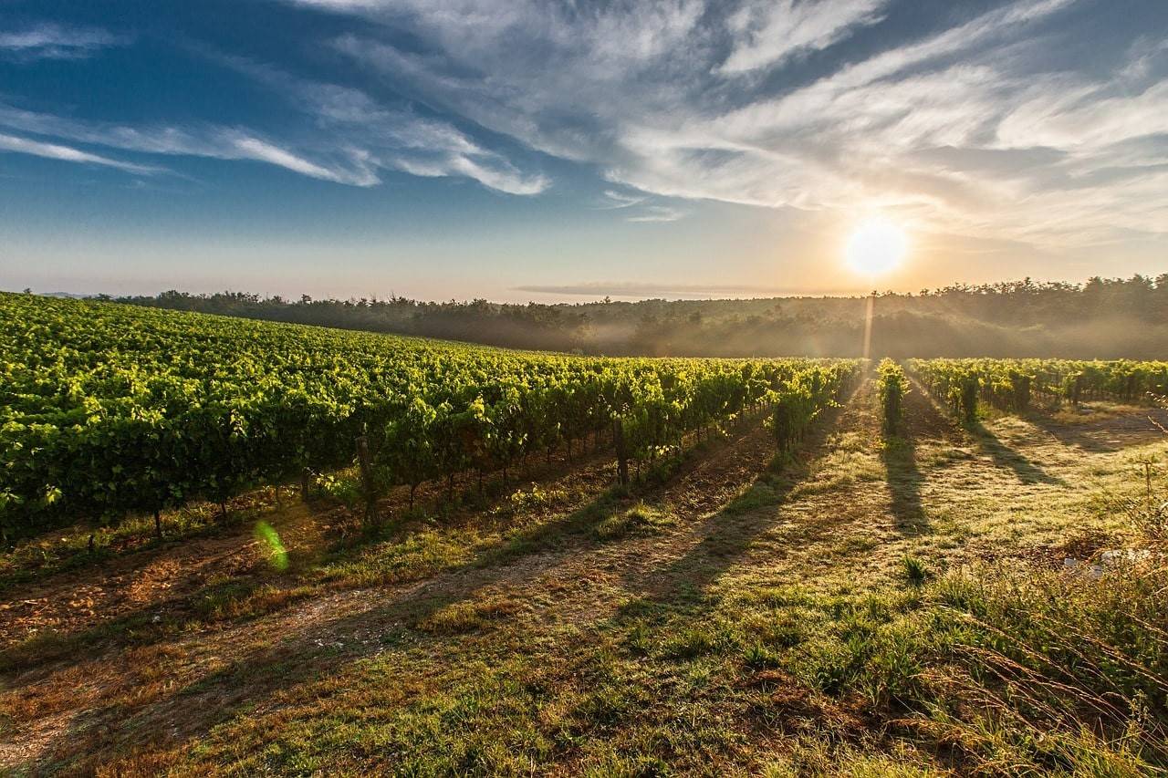 Terreno agricolo in vendita a Rieti (RI)