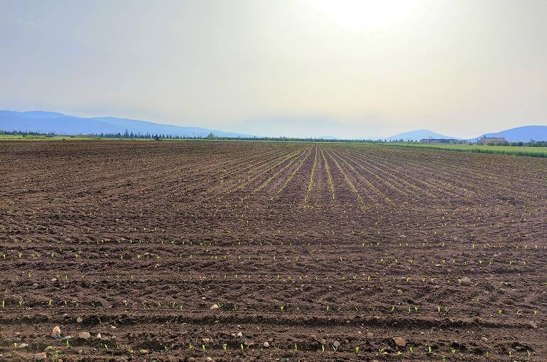 Terreno agricolo in vendita a Rieti (RI)