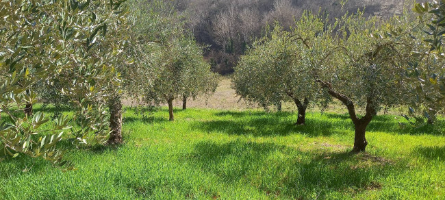 Terreno Agricolo in vendita a Rieti