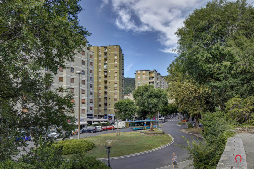 Appartamento in affitto a Trieste