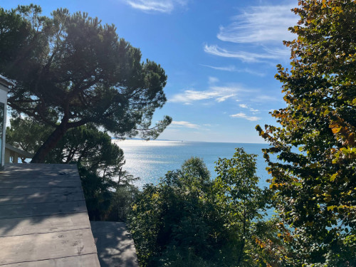 Attico/Mansarda in vendita a Trieste