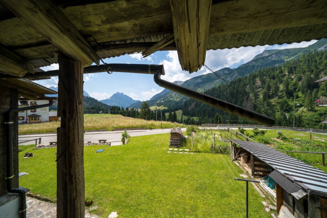 Chalet / baita in vendita a Sappada