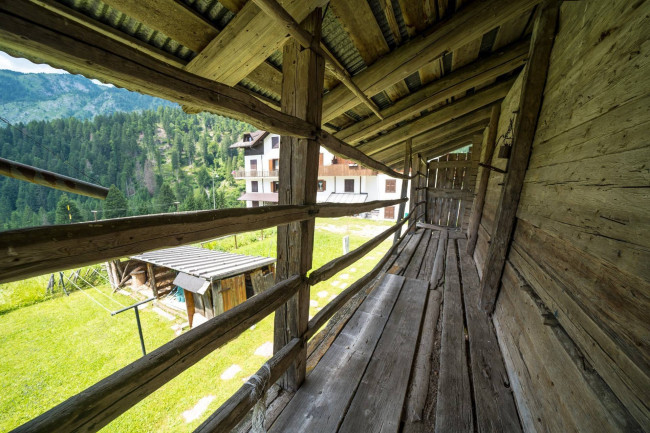 Chalet / baita in vendita a Sappada