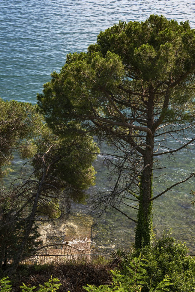 Villa in vendita a Trieste