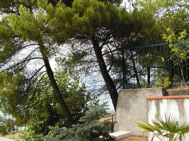 Villa in vendita a Muggia