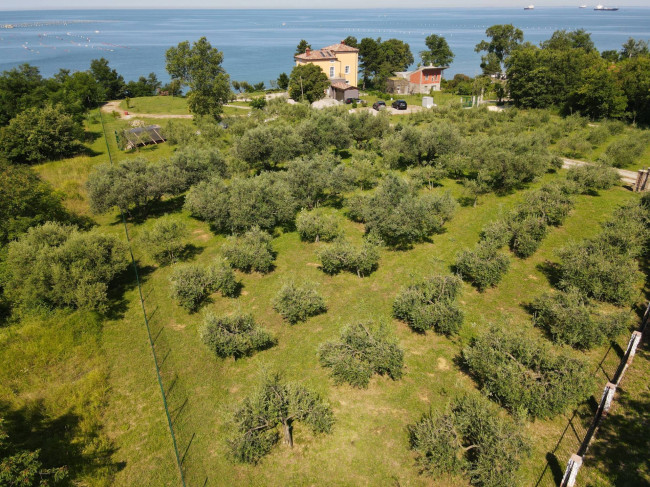 Villa in vendita a Muggia