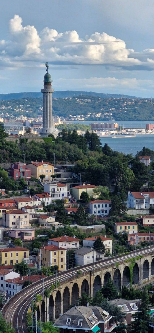 Area verde in vendita a Trieste