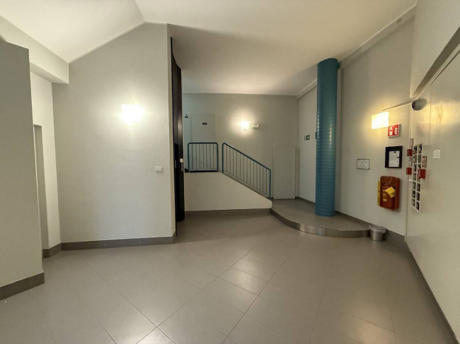 Appartamento in affitto a Trieste