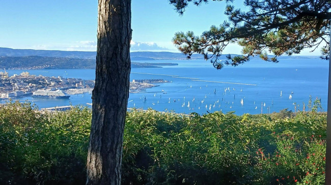 Villa in vendita a Trieste