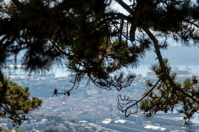 Villa in vendita a Trieste