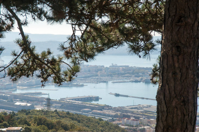 Villa in vendita a Trieste
