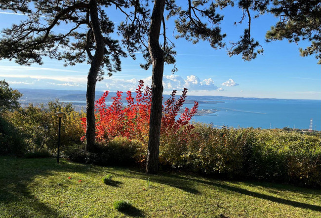 Villa in vendita a Trieste