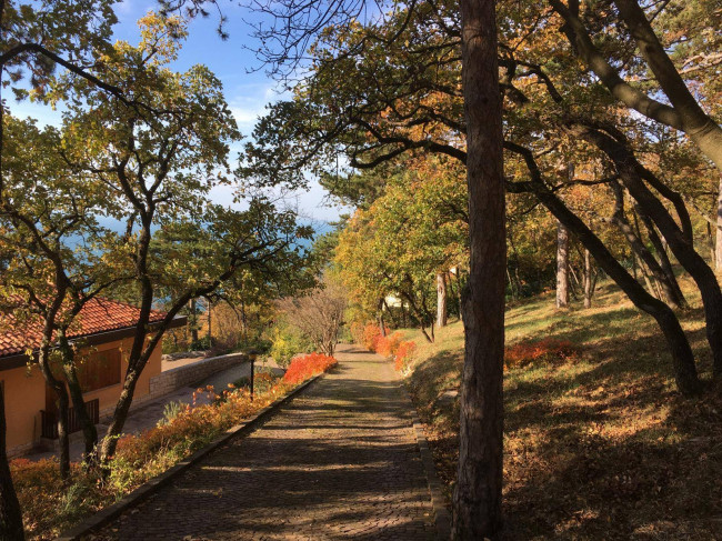 Villa in vendita a Trieste