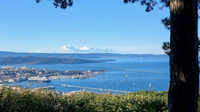 Villa zu verkauf in Trieste