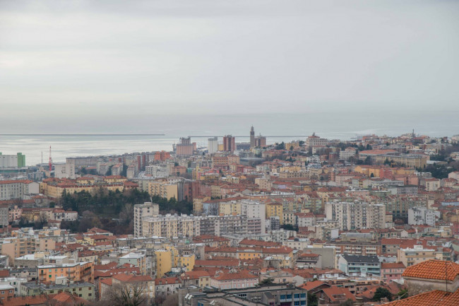 Appartamento in affitto a Trieste