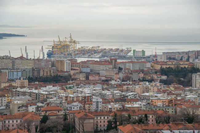 Appartamento in affitto a Trieste