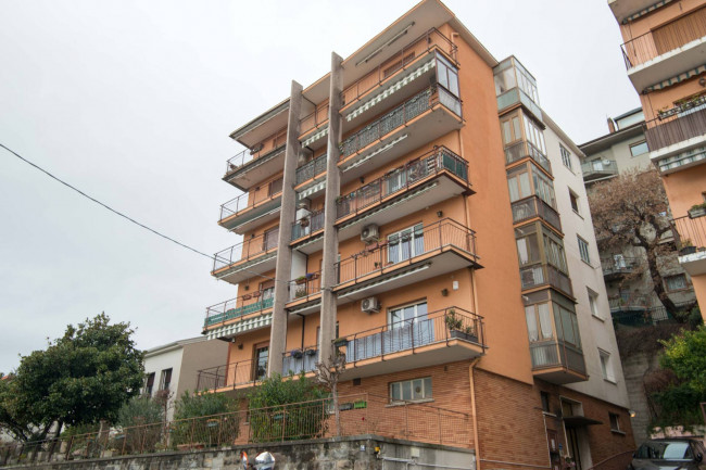 Appartamento in affitto a Trieste