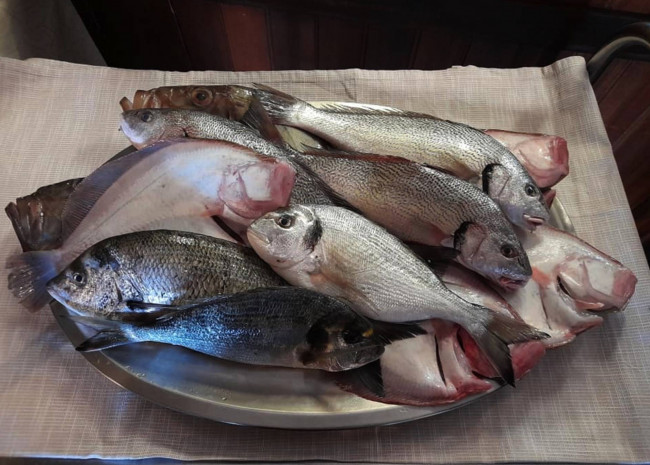 Licenze in vendita a Trieste