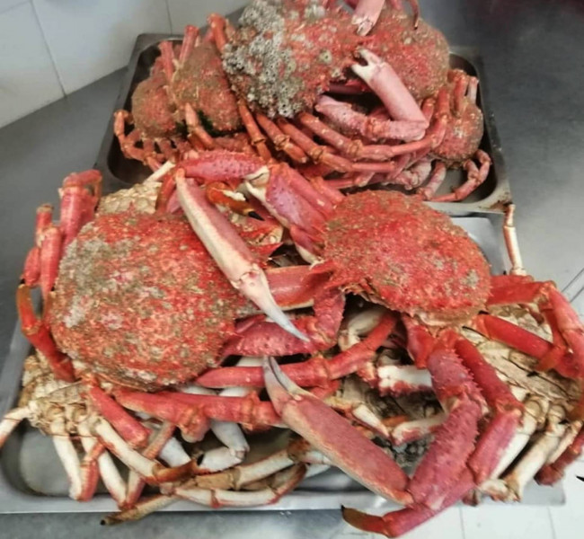 Licenze in vendita a Trieste