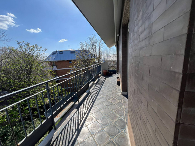 Wohnung zu mieten in Trieste