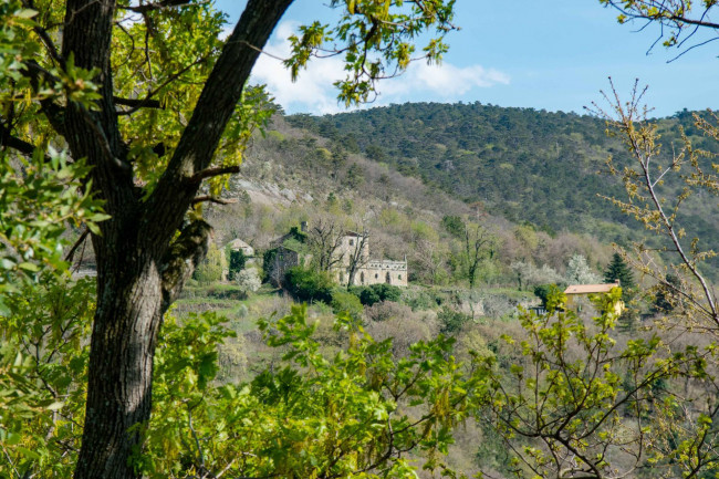 Wohnung zu mieten in Trieste