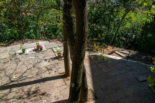 Wohnung zu mieten in Trieste