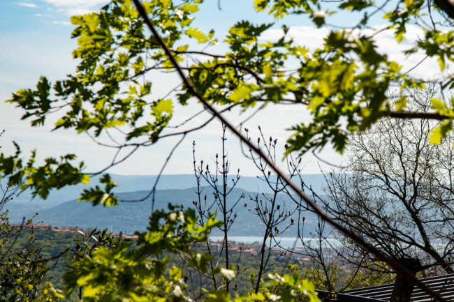 Wohnung zu mieten in Trieste