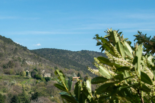 Wohnung zu mieten in Trieste