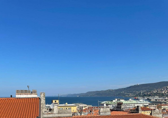 Penthouse/Mansarde zu verkauf in Trieste