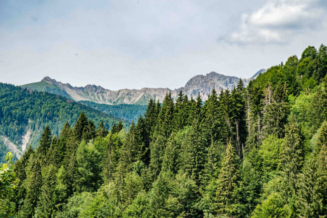Apartment for sale in Sauris