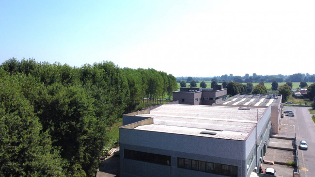 Capannone artigianale D/7 a Pavia