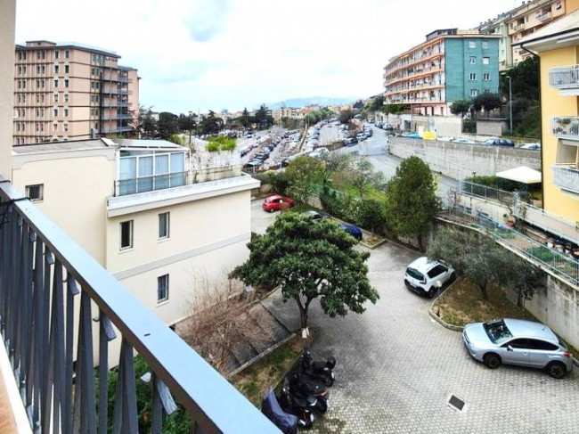 Appartamento in vendita a Savona (SV)