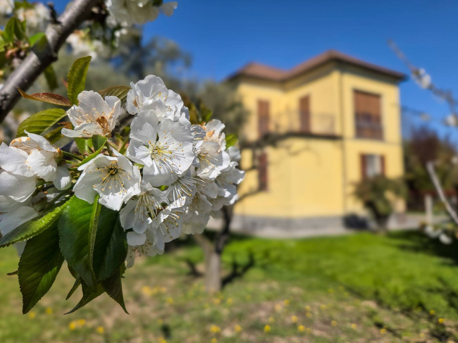 Casa singola in vendita a Tortona
