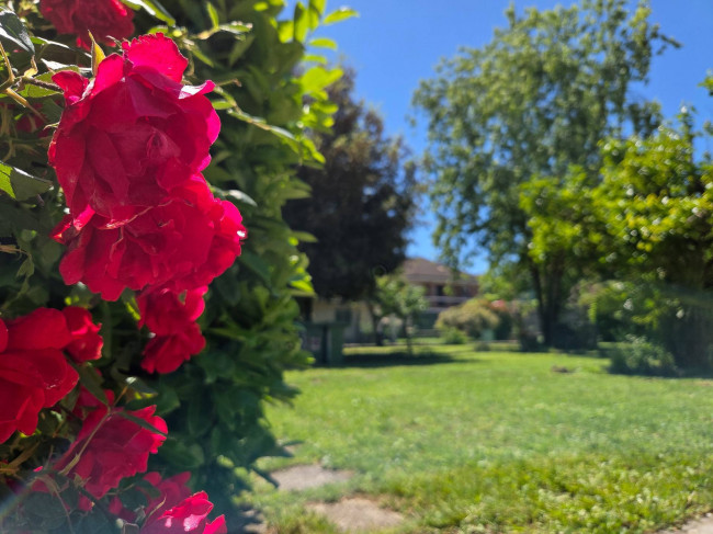 Appartamento in vendita a Villalvernia