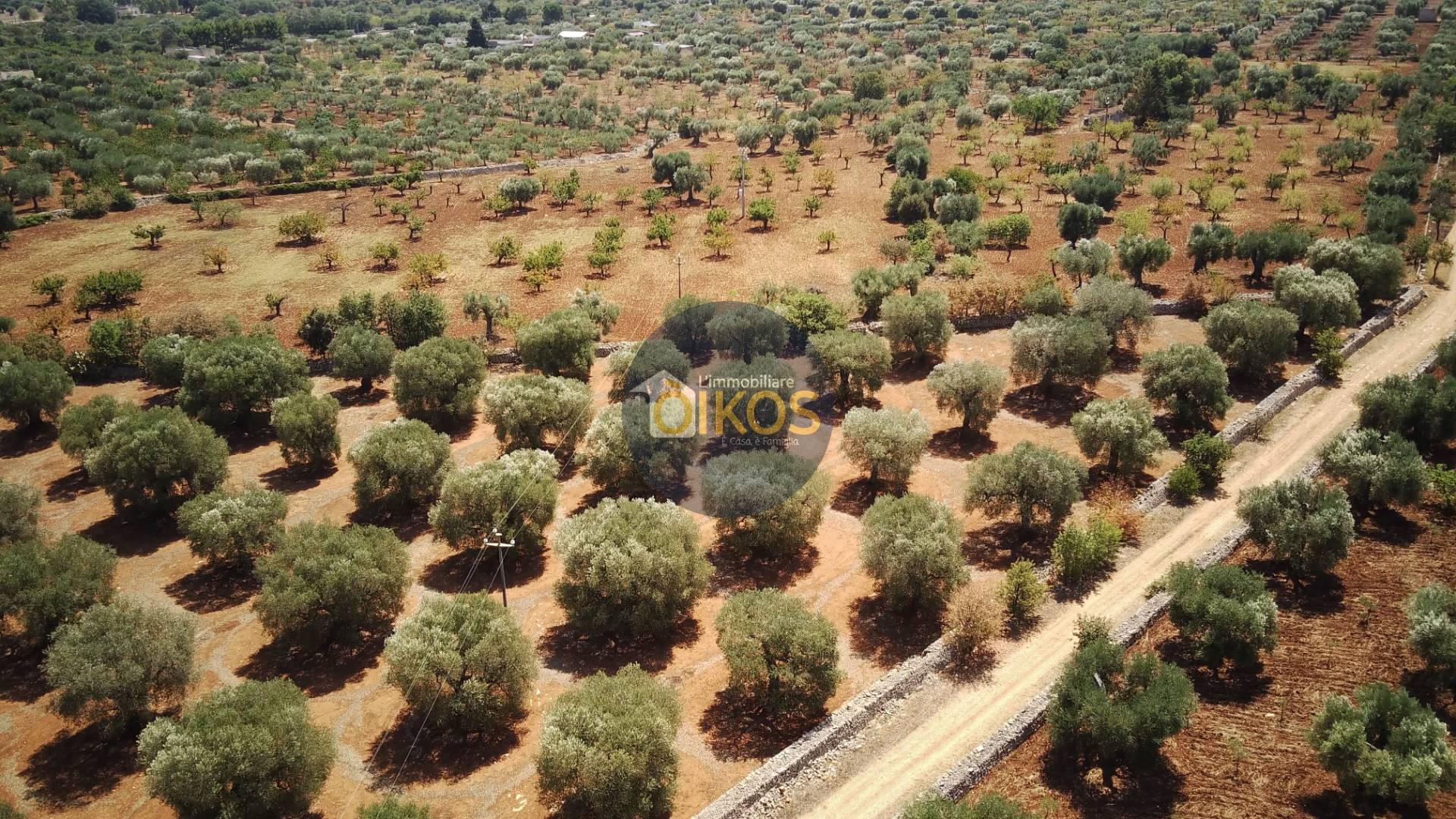 Foto - Terreno In Vendita Conversano (ba)