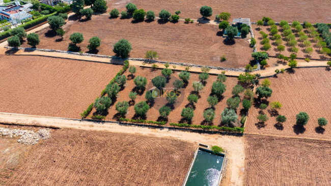 Terreno agricolo in vendita a Polignano A Mare (BA)