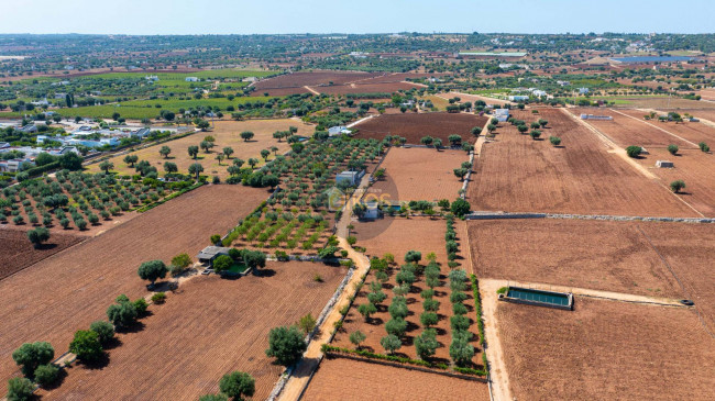 Terreno agricolo in vendita a Polignano A Mare (BA)