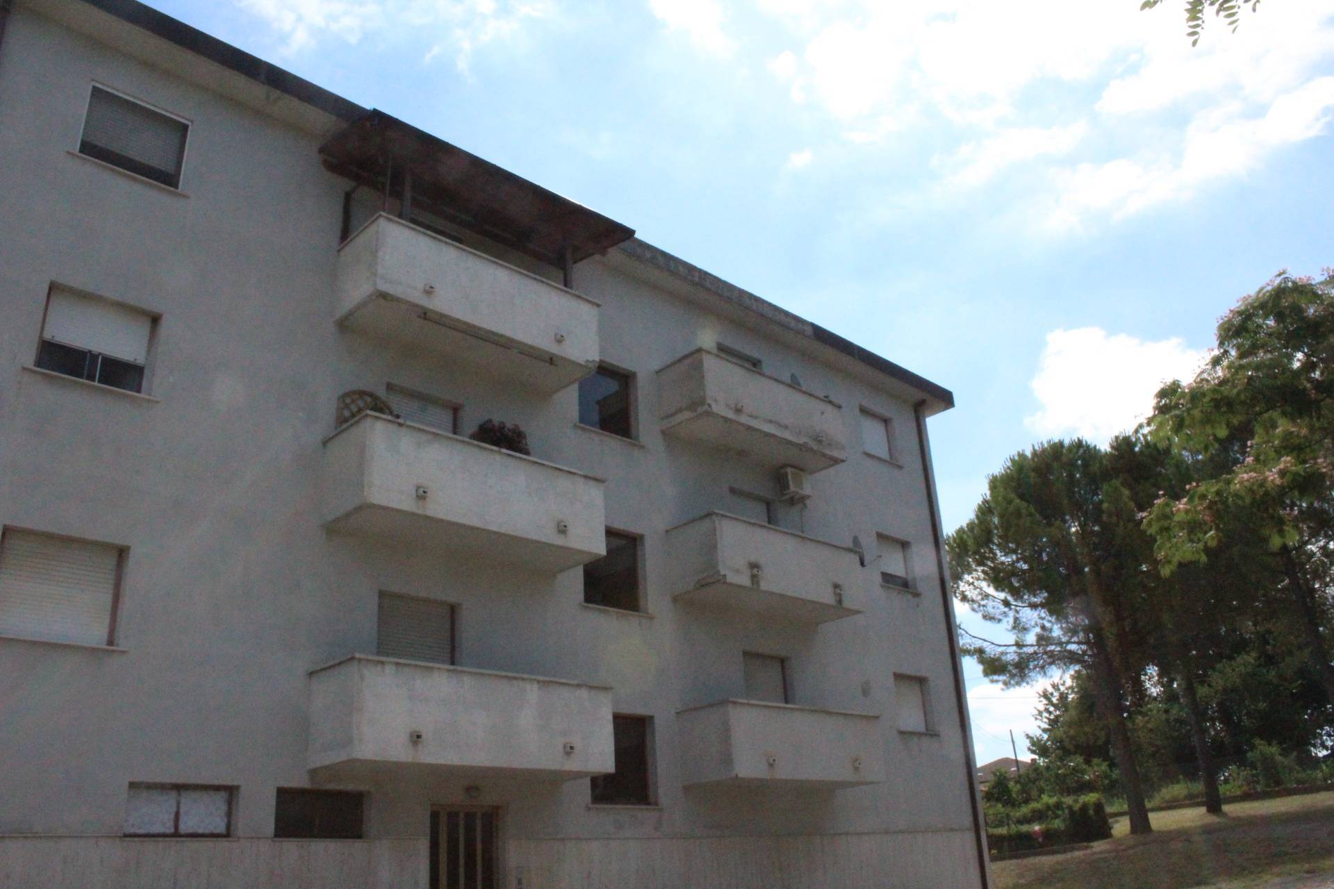 Appartamento ARI vendita    Concrete Immobiliare di Paola Fratangeli